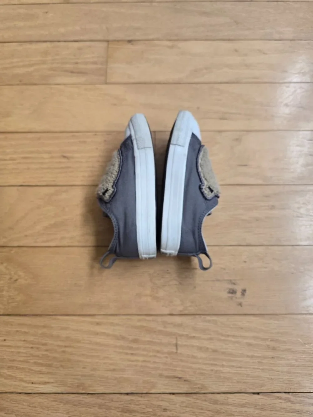 Converse | Chuck Taylor All Star Sherpa bear gray sneakers | Toddler 7